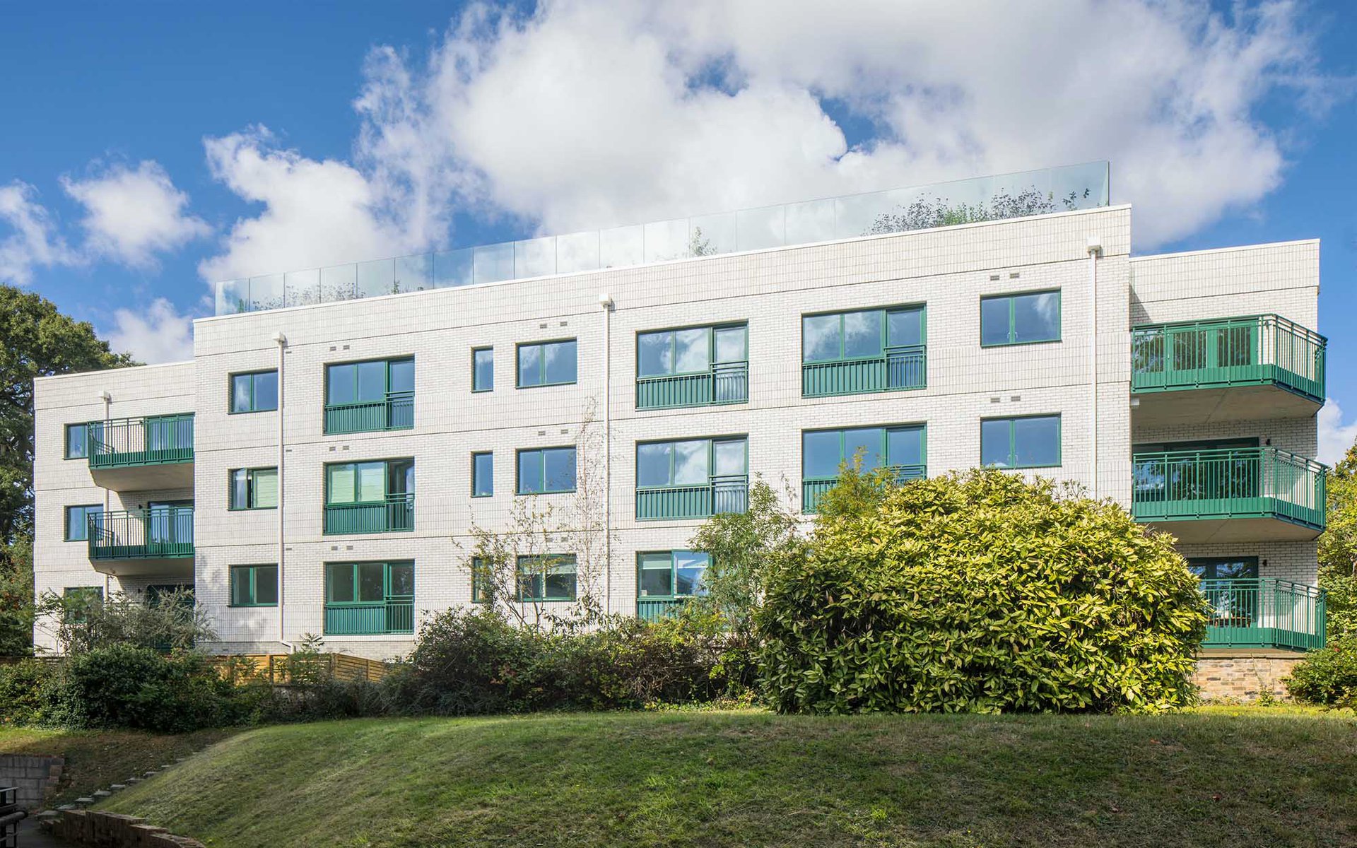 Forest Hill: Slide 5