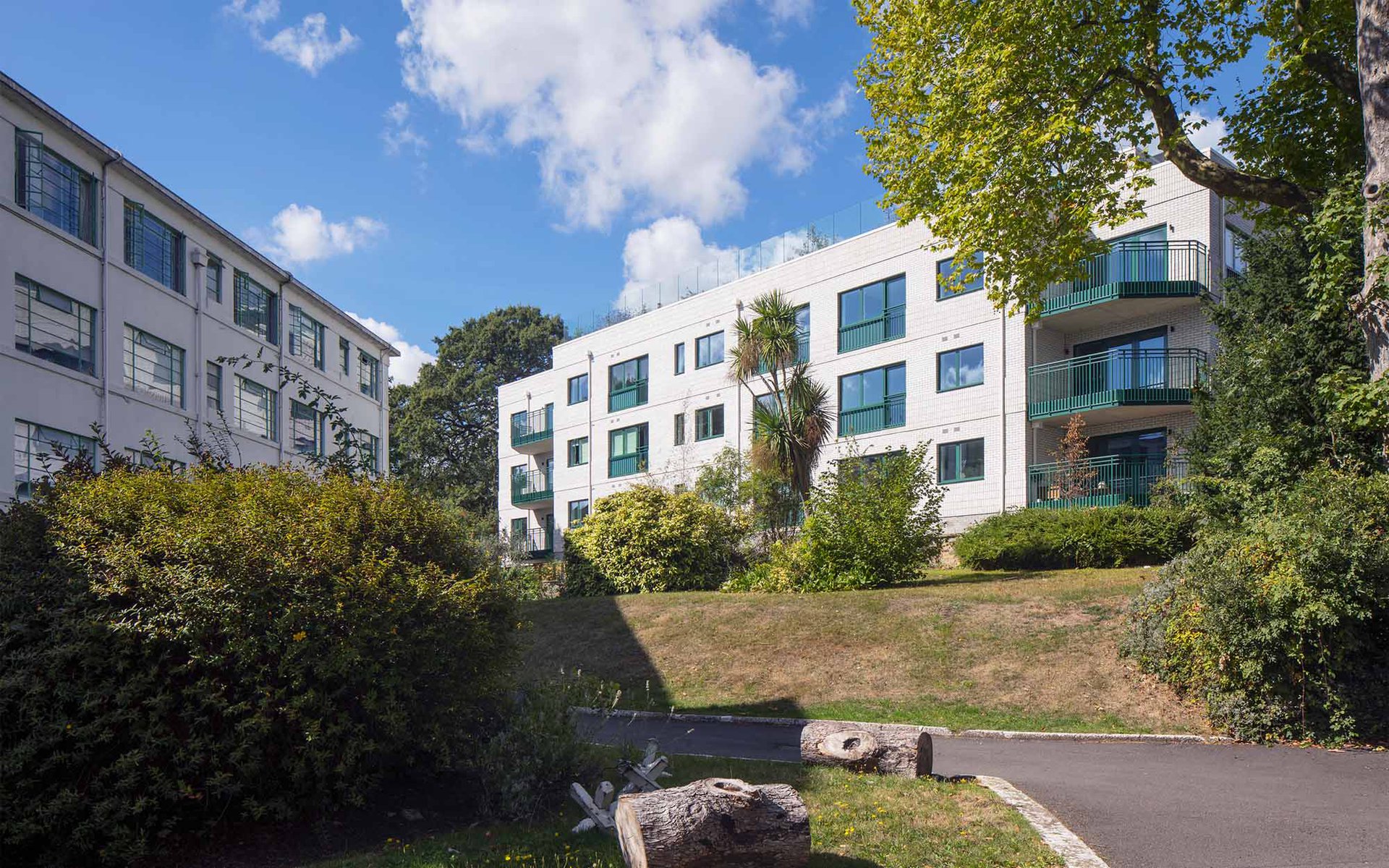 Forest Hill: Slide 2