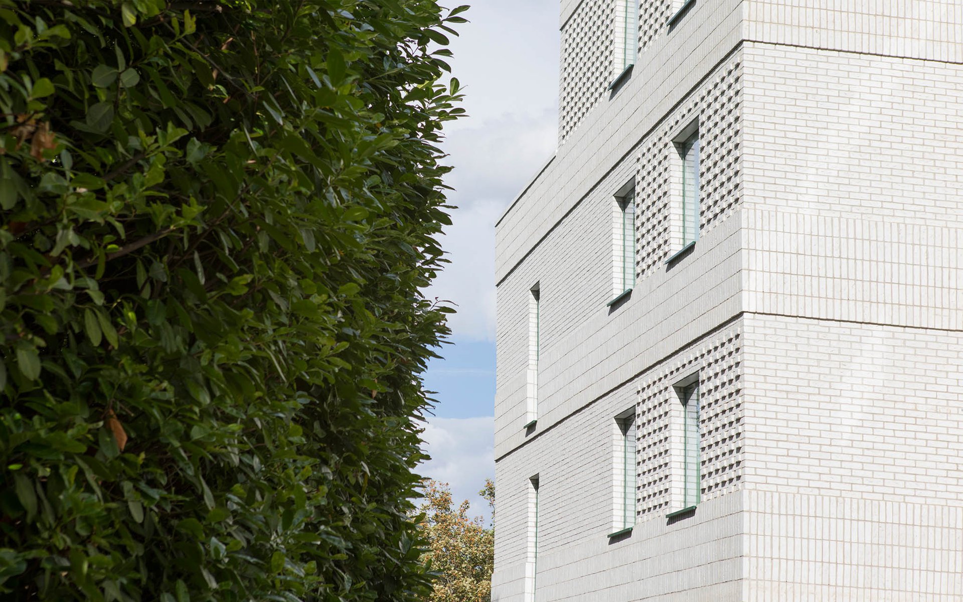 Forest Hill: Slide 3