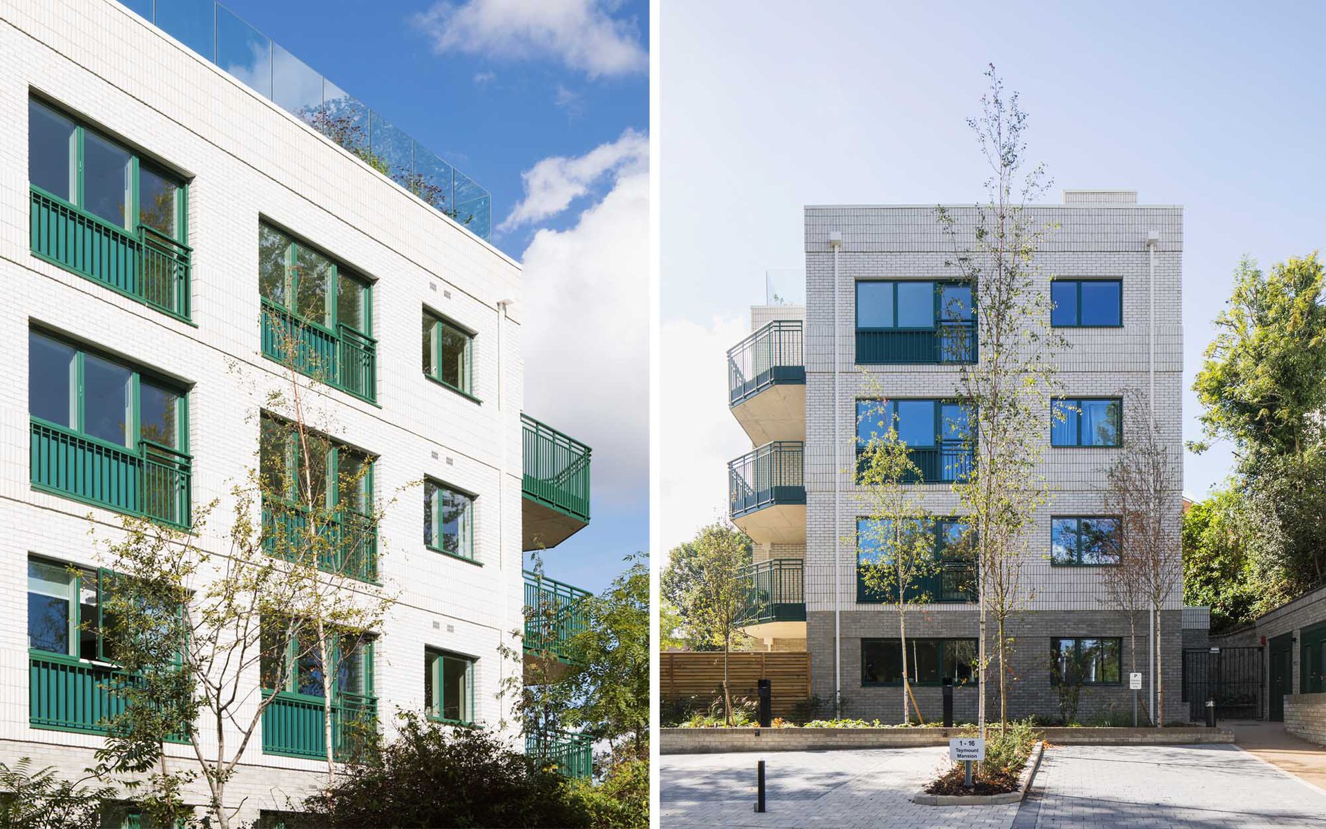 Forest Hill: Slide 9